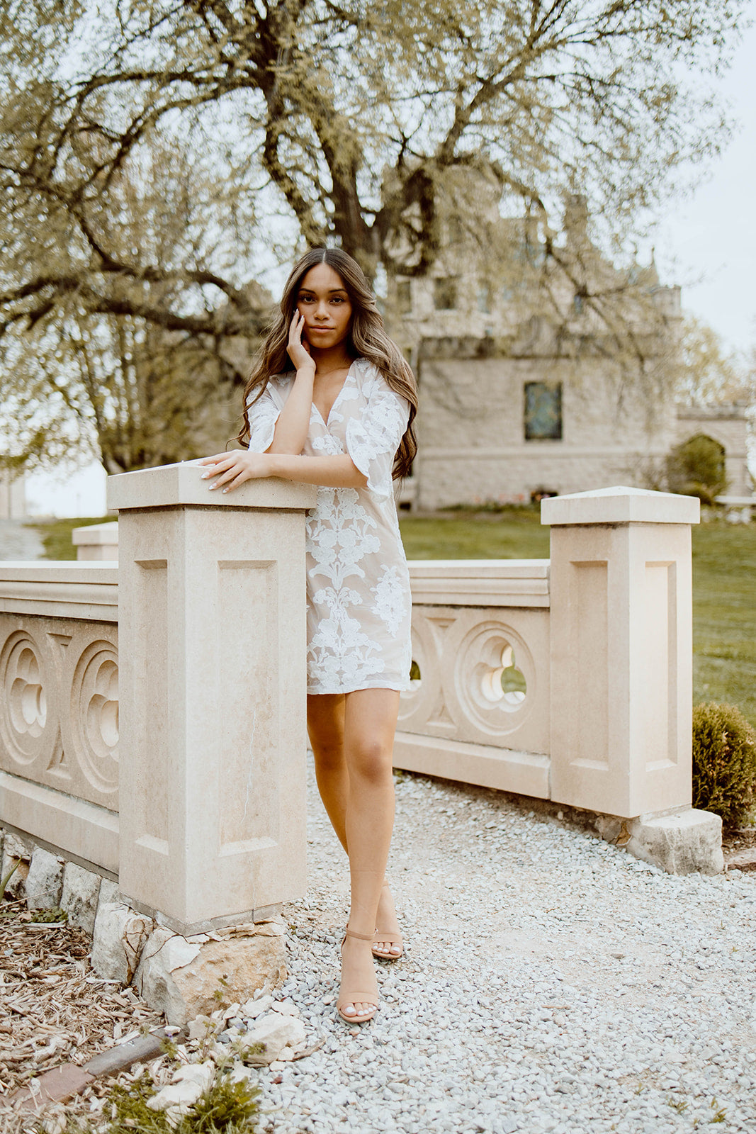 Nikki Lace Half Sleeve Dress