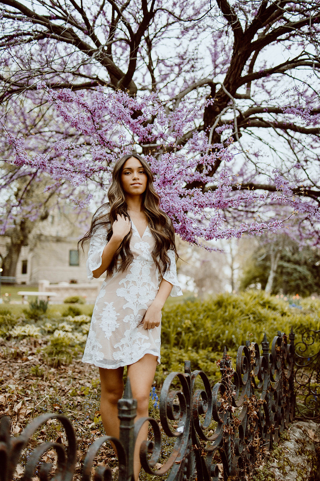 Nikki Lace Half Sleeve Dress