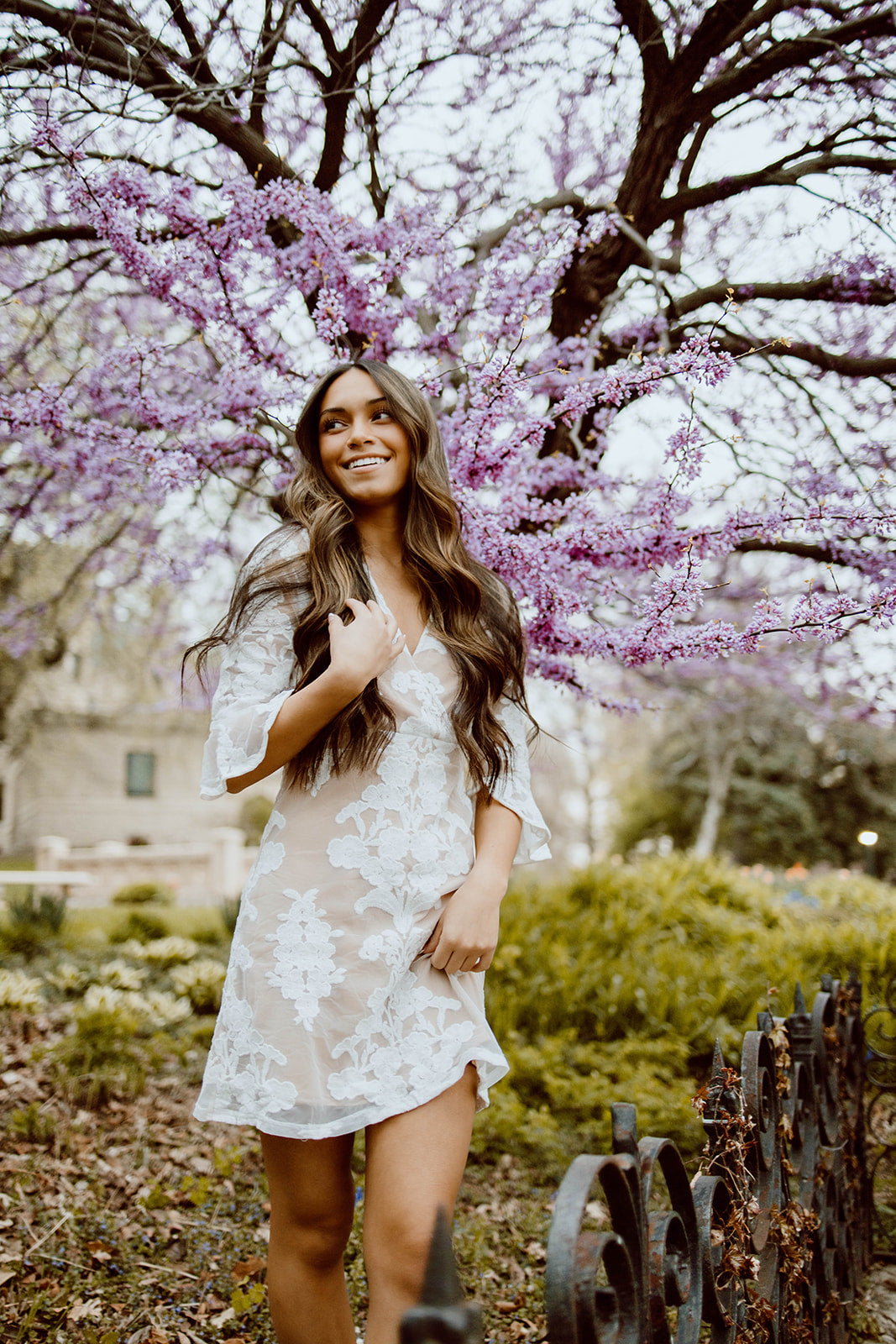 Nikki Lace Half Sleeve Dress