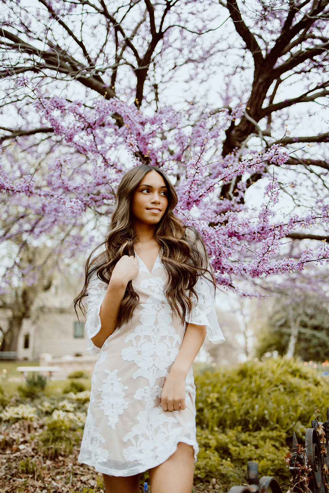 Nikki Lace Half Sleeve Dress