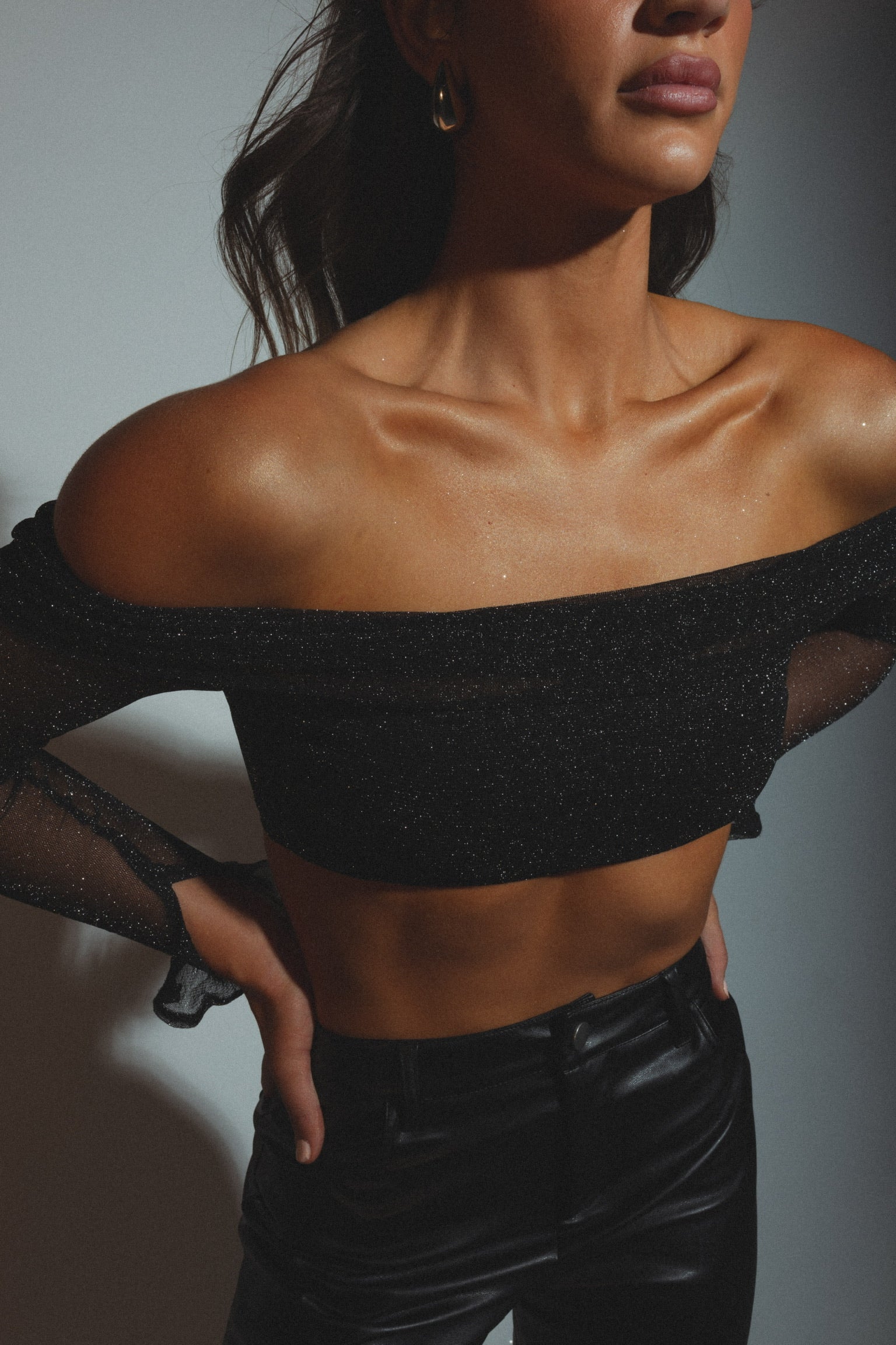 Elena Shimmering Crop Top