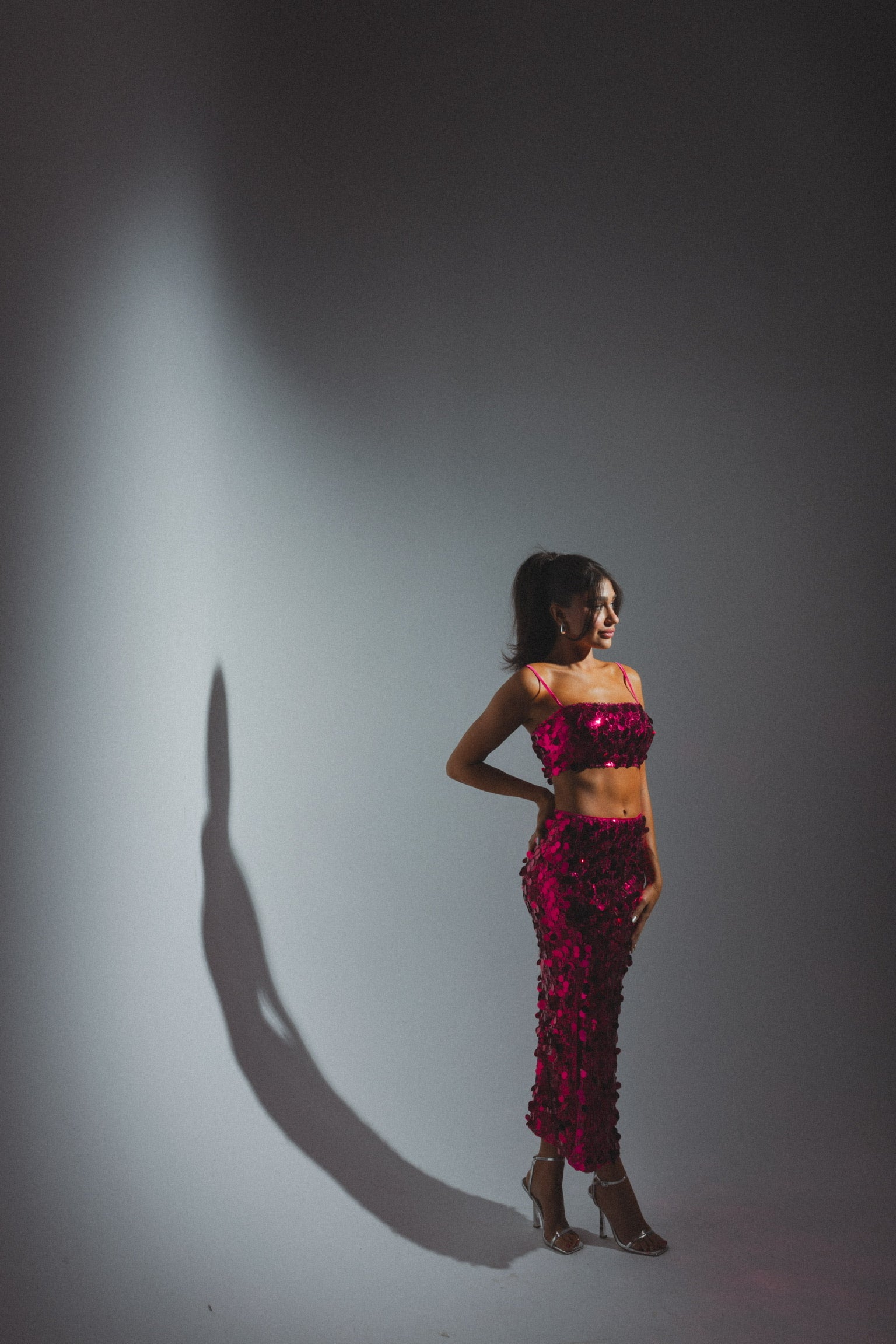 RESTOCKED :Syd Sequin Crop Top