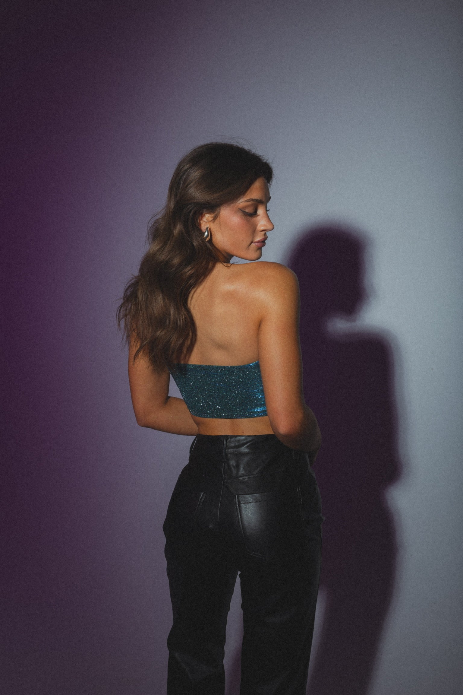 Alice Shimmering Bustier Top
