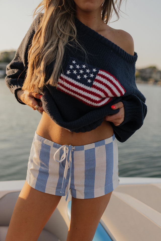 Hudson Flag Knit Sweater In Navy