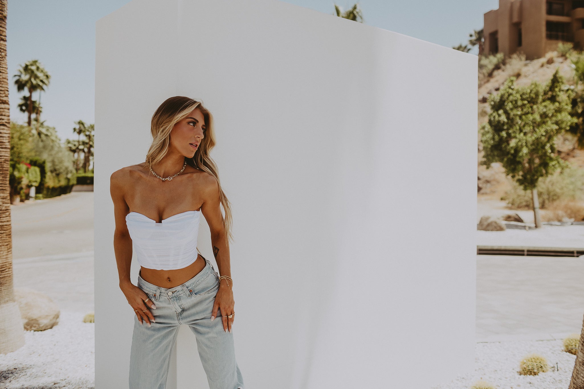 Strapless Structured Mesh Bustier