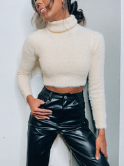 Holdyn Textured Turtleneck