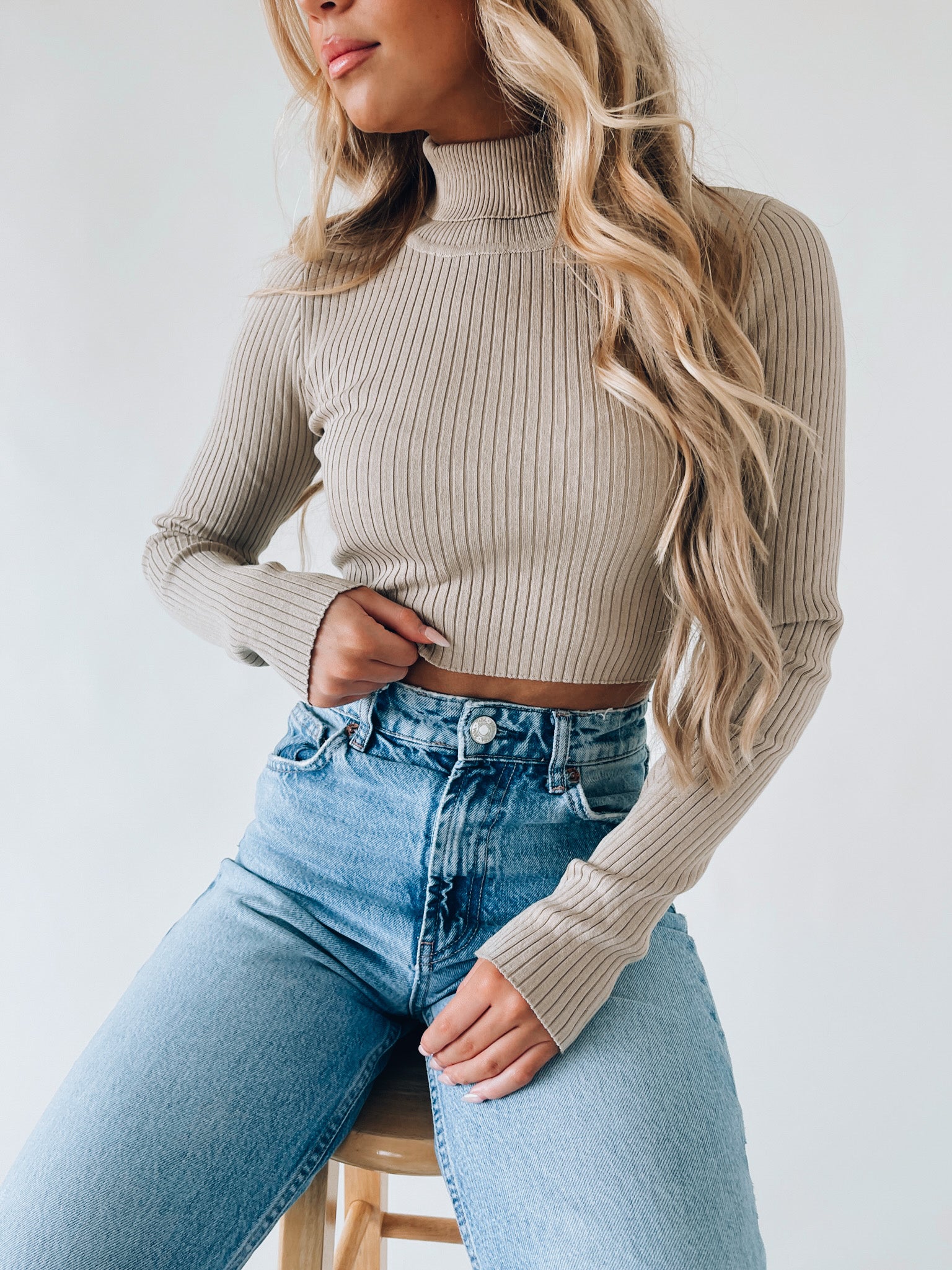 Harper Turtleneck In Stone