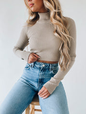 Harper Turtleneck In Stone