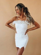 Fallyn Feather Dress