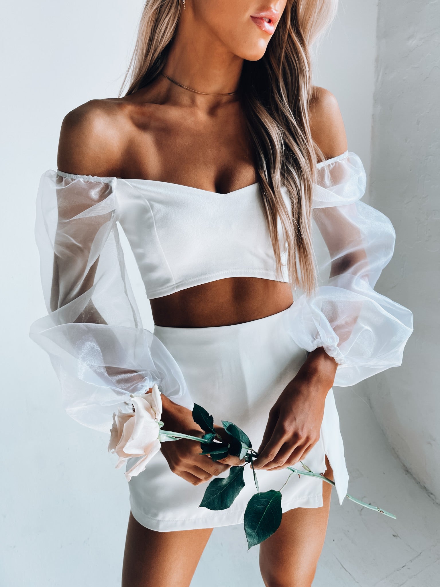 Kaylin Sheer Sleeve Crop Top