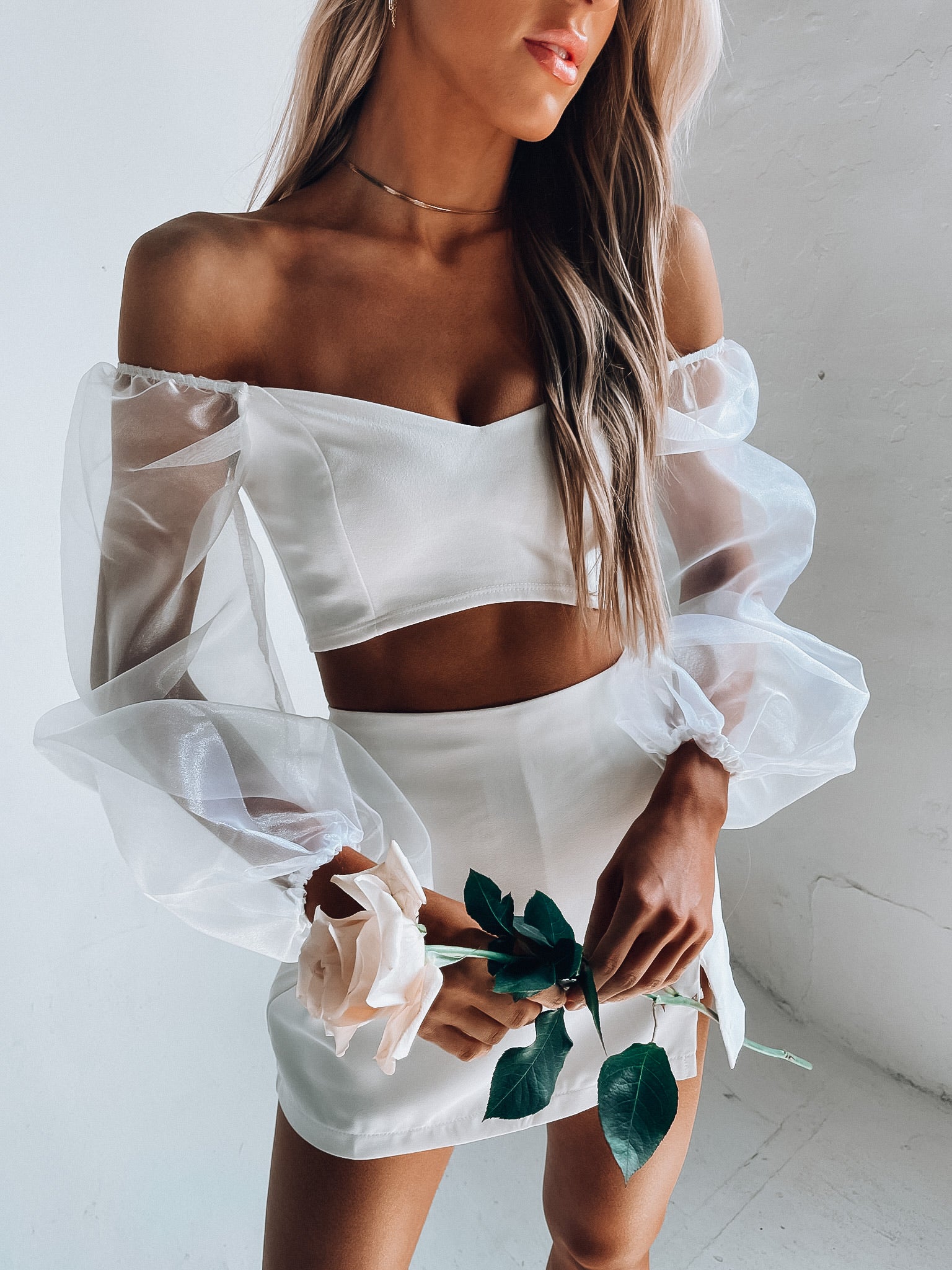 Kaylin Sheer Sleeve Crop Top