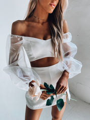 Kaylin Sheer Sleeve Crop Top