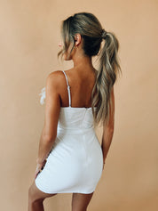Fallyn Feather Dress