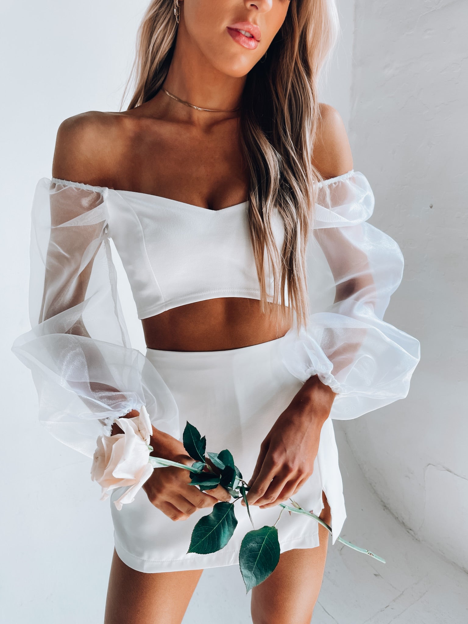 Kaylin Sheer Sleeve Crop Top