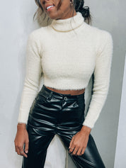 Holdyn Textured Turtleneck