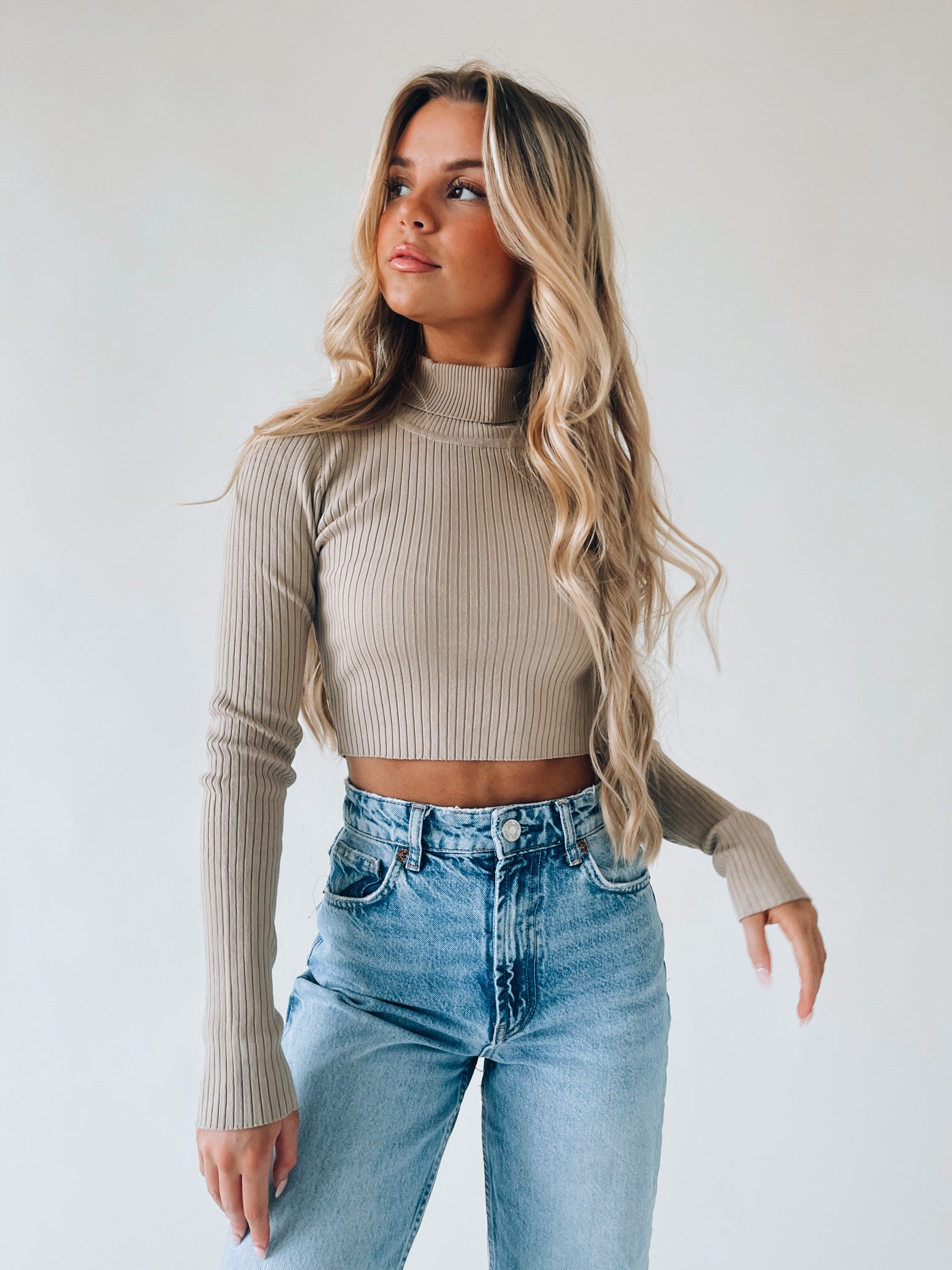 Harper Turtleneck In Stone