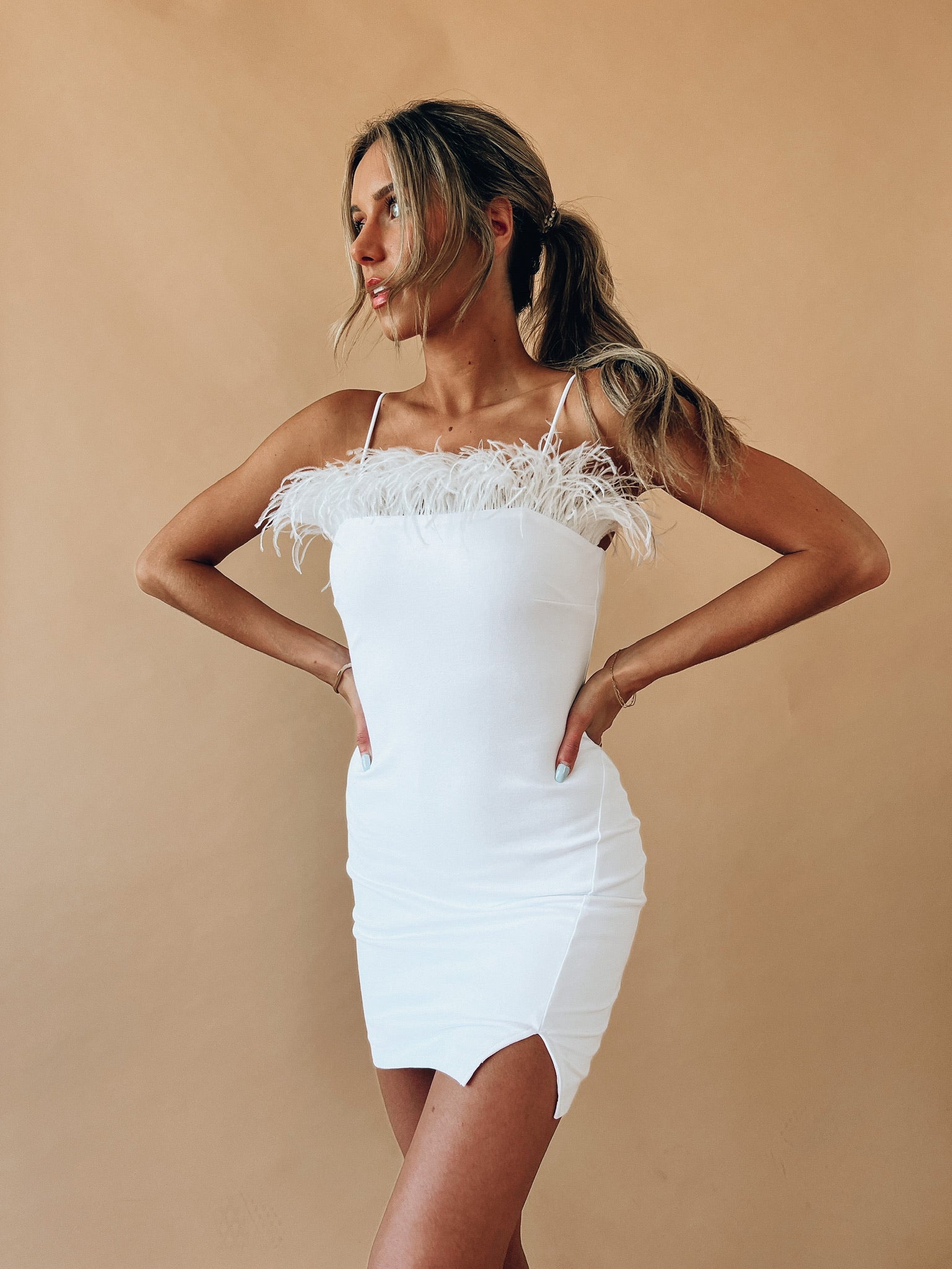 Fallyn Feather Dress