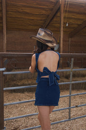 Rylee Denim Skirt Set