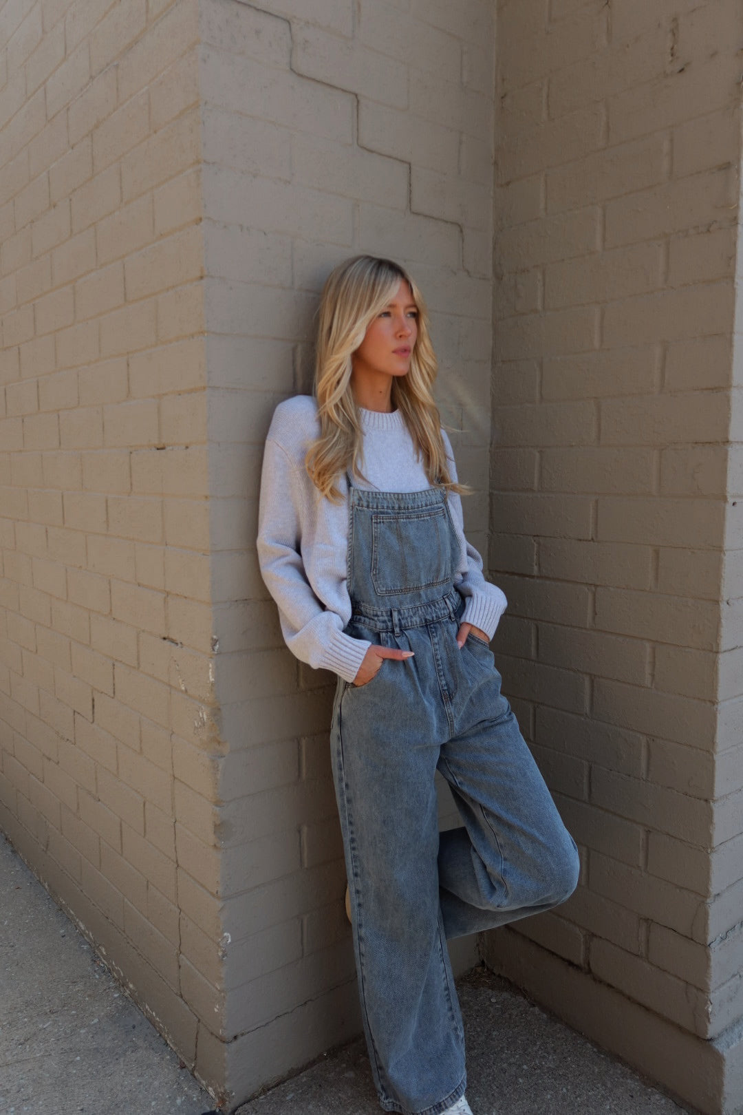 Denim Halter Tie Overalls