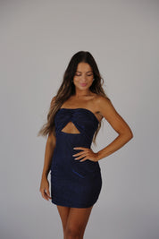 Sabrina Shimmer Mini Dress in Navy