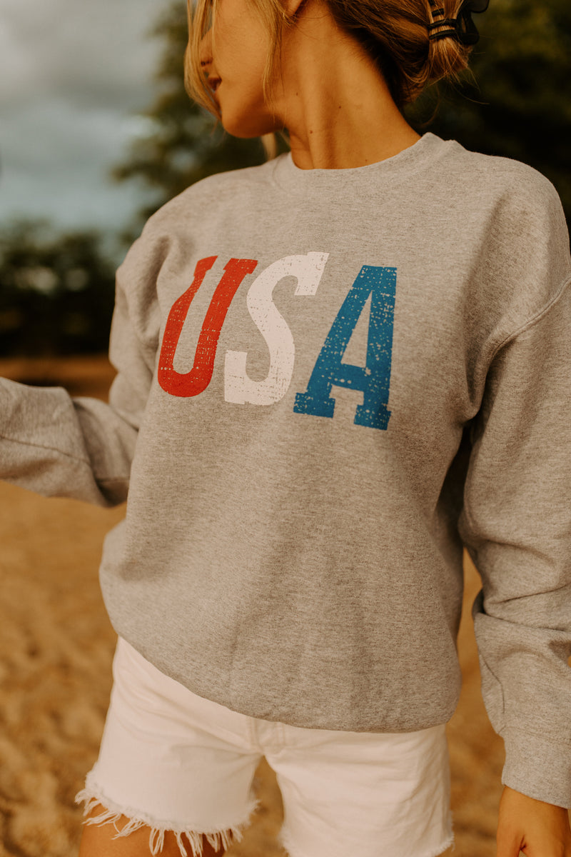USA Sweatshirt In Grey