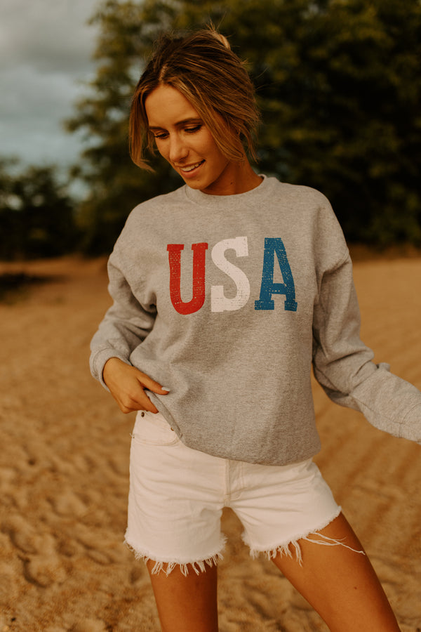 USA Sweatshirt In Grey